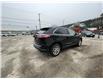 2024 Ford Edge SEL (Stk: 10853) in Golden - Image 8 of 26