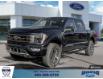2023 Ford F-150 Tremor (Stk: 24902) in Calgary - Image 1 of 25