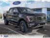 2023 Ford F-150 Tremor (Stk: 24902) in Calgary - Image 6 of 25
