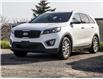 2018 Kia Sorento 2.4L LX (Stk: 35638A) in Waterloo - Image 2 of 2