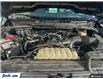 2022 Ford F-150 XLT (Stk: TT7775) in Sarnia - Image 10 of 25
