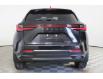 2024 Lexus NX 250  (Stk: 15102996) in Richmond Hill - Image 6 of 26