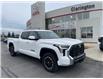 2024 Toyota Tundra SR5 (Stk: 24078) in Bowmanville - Image 1 of 19