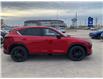 2024 Mazda CX-5 Sport Design (Stk: M24045) in Steinbach - Image 6 of 16