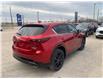 2024 Mazda CX-5 Sport Design (Stk: M24045) in Steinbach - Image 7 of 16