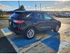 2022 Ford Escape SE (Stk: MD1015) in Mount Pearl - Image 4 of 16