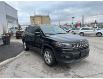 2023 Jeep Compass North (Stk: M22197) in Newmarket - Image 1 of 14