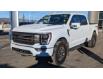2023 Ford F-150 Tremor (Stk: 23A172) in Hinton - Image 8 of 9