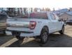 2023 Ford F-150 Platinum (Stk: 23A724) in Hinton - Image 3 of 9
