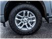 2023 Chevrolet Silverado 1500 RST (Stk: 16847) in Casselman - Image 17 of 22