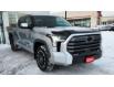 2023 Toyota Tundra Hybrid Limited (Stk: N23533A) in Timmins - Image 4 of 22