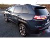 2019 Jeep Cherokee Trailhawk (Stk: NY53436) in St. Johns - Image 16 of 17