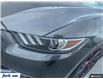 2017 Ford Mustang V6 (Stk: CT7664) in Sarnia - Image 8 of 25