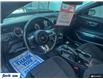 2017 Ford Mustang V6 (Stk: CT7664) in Sarnia - Image 13 of 25