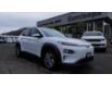 2019 Hyundai Kona Electric Ultimate (Stk: TP200A) in Kamloops - Image 10 of 29