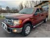 2014 Ford F-150 XLT (Stk: A-F49010) in Moncton - Image 3 of 20