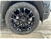 2023 Chevrolet Silverado 1500 High Country (Stk: 13146) in Roblin - Image 8 of 17