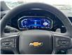 2023 Chevrolet Silverado 1500 High Country (Stk: 13146) in Roblin - Image 15 of 17