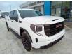 2023 GMC Sierra 1500 Pro (Stk: 17447) in Whitehorse - Image 7 of 15