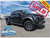 2020 Ford F-150 Raptor (Stk: H23038A) in High River - Image 1 of 27