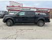 2013 Ford F-150 FX4 (Stk: 23-147A) in Hanover - Image 4 of 21