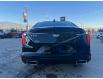 2024 Cadillac CT4 Premium Luxury (Stk: 0100658) in Newmarket - Image 6 of 17
