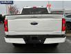 2023 Ford F-150 XL (Stk: SD008) in Surrey - Image 5 of 27