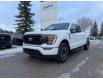 2023 Ford F-150 XLT (Stk: P-1356A) in Calgary - Image 1 of 23