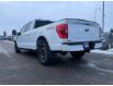 2023 Ford F-150 XLT (Stk: P-1356A) in Calgary - Image 3 of 23