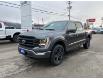 2023 Ford F-150 Lariat (Stk: 23T599) in CRESTON - Image 3 of 19