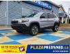 2019 Jeep Cherokee Trailhawk (Stk: 44319A) in Mount Pearl - Image 1 of 16