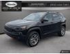 2021 Jeep Cherokee Trailhawk (Stk: S16704) in Halifax - Image 1 of 23