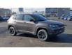 2024 Jeep Compass Trailhawk (Stk: 240178) in Windsor - Image 2 of 25