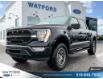 2023 Ford F-150 XLT ROUSH (Stk: D72536) in Watford - Image 1 of 25