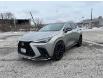 2024 Lexus NX 350  (Stk: 14104948) in Markham - Image 2 of 9