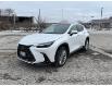 2024 Lexus NX 350  (Stk: 14106084) in Markham - Image 2 of 10