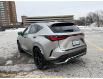 2024 Lexus NX 350  (Stk: 14106162) in Markham - Image 4 of 9