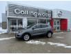 2020 Nissan Qashqai SV (Stk: P5779A) in Collingwood - Image 1 of 23