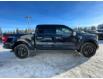 2021 Ford F-150 Platinum (Stk: 6415) in Calgary - Image 6 of 22