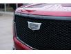 2024 Cadillac Escalade Sport Platinum (Stk: R216) in Chatham - Image 6 of 25
