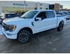 2021 Ford F-150 Lariat (Stk: 31846) in Calgary - Image 1 of 23
