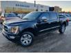 2021 Ford F-150 Platinum (Stk: P-2013A) in Calgary - Image 1 of 24