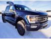2023 Ford F-150 Tremor (Stk: N70762) in Shellbrook - Image 3 of 23