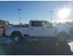 2023 Ford F-250 XL (Stk: 23-0458) in Prince Albert - Image 5 of 18