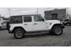 2021 Jeep Wrangler Unlimited Sahara (Stk: 46756) in Windsor - Image 9 of 17