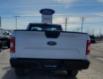 2019 Ford F-150 XL (Stk: A4480) in Wyoming - Image 4 of 20