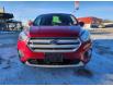 2019 Ford Escape SE (Stk: P39637C) in Saskatoon - Image 3 of 24