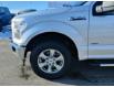 2017 Ford F-150 XLT (Stk: 31763A) in Calgary - Image 8 of 24