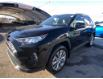 2019 Toyota RAV4 Limited (Stk: 240390A) in Calgary - Image 3 of 28