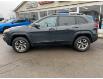 2017 Jeep Cherokee Trailhawk (Stk: 7241A) in Fort Erie - Image 5 of 21